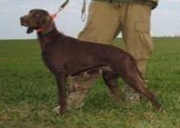 BERTA