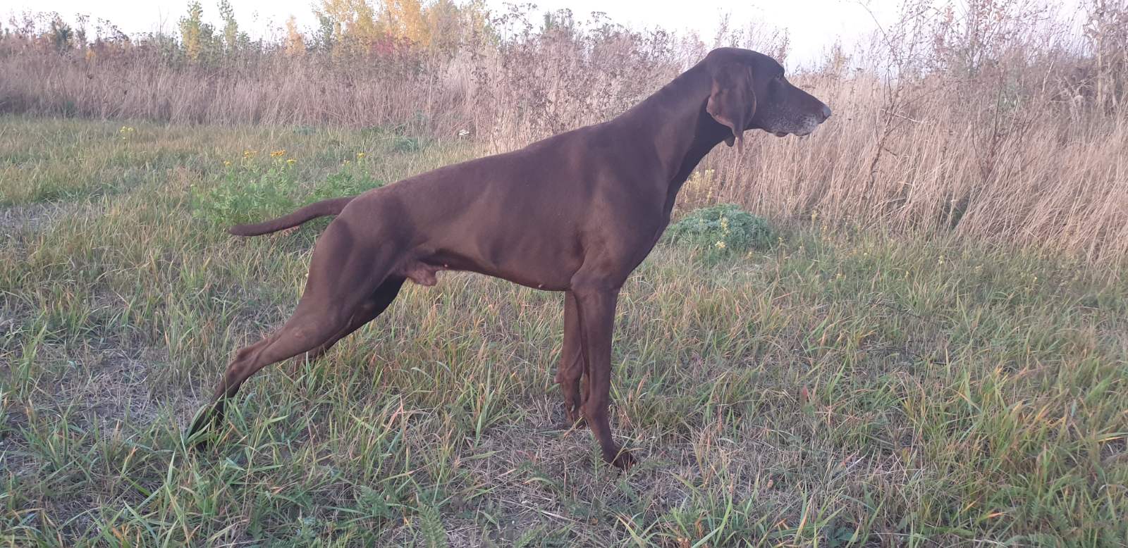 Azov Galaxy Vivat